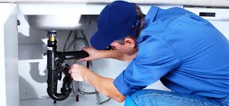 Best Trenchless Pipe Repair  in USA